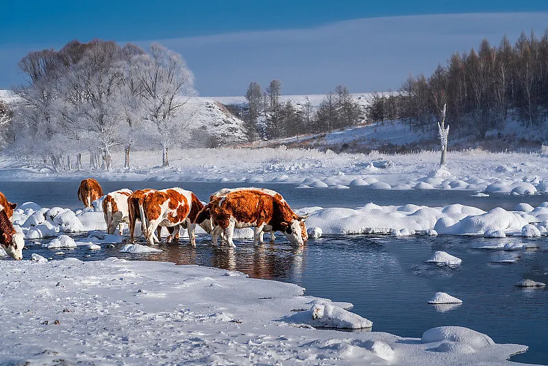 b97b46e6dc05eeec459611cf51ae1553-sz_211308 b97b46e6dc05eeec459611cf51ae1553-sz_211308