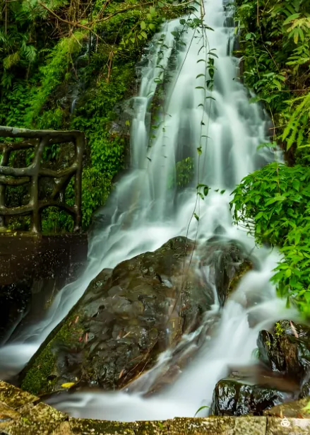 b99c1207f17fbff0a8f6eca0adf618ff-sz_568734-1