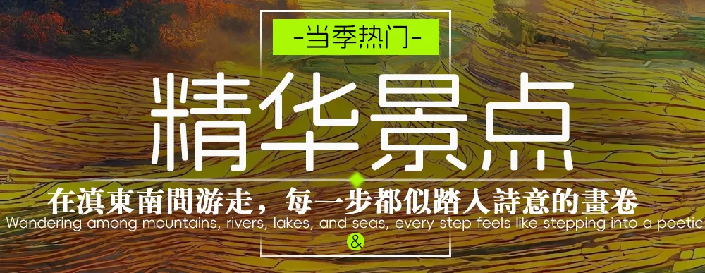 b9cb5abed7c0d813889978affefbb92f-sz_948166-1