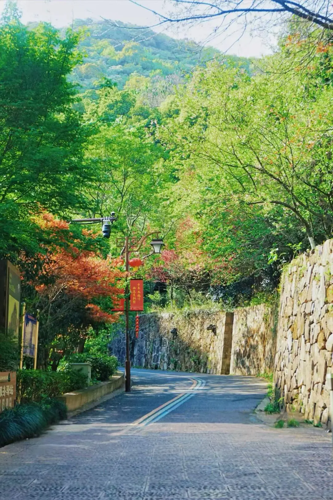 b9cf2e70e68bf939e60e630bb585320c-sz_519390