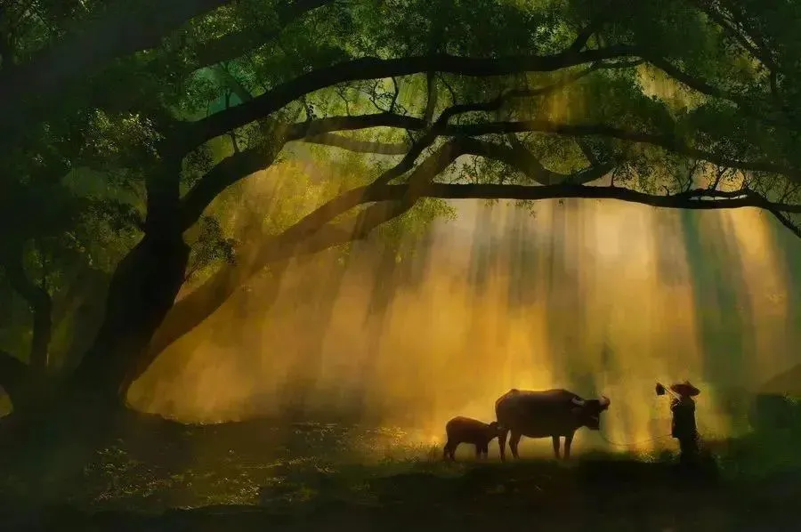 b9d68394def3f21b8308ed982fd6b821-sz_69159-1