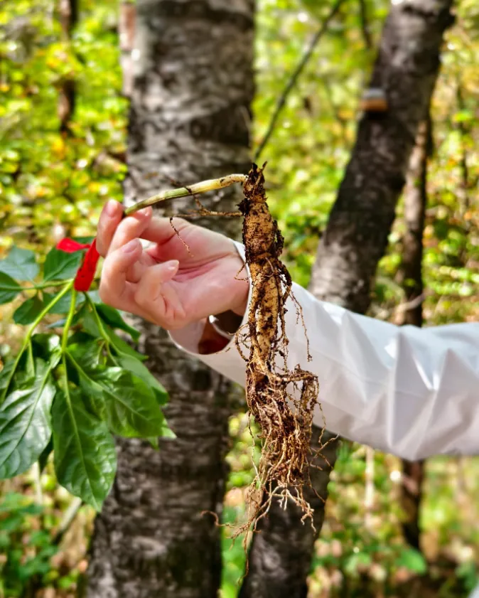 b9fa4e413a0b5a4196e0fadf5374efc5-sz_885626