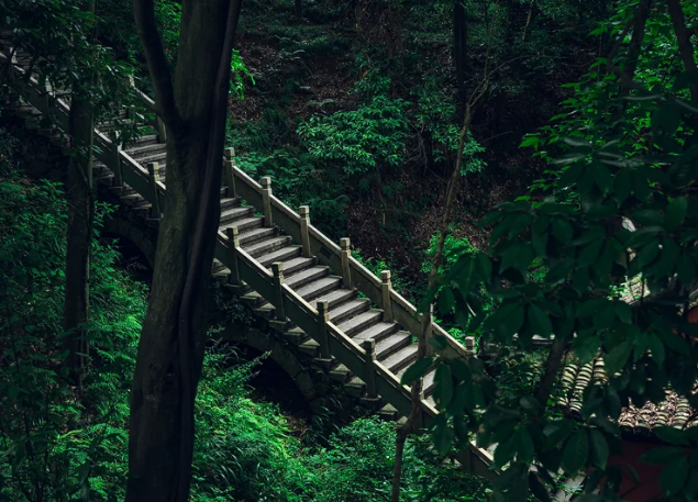 ba1405244899a72e090bccd4c8c50076-sz_601388