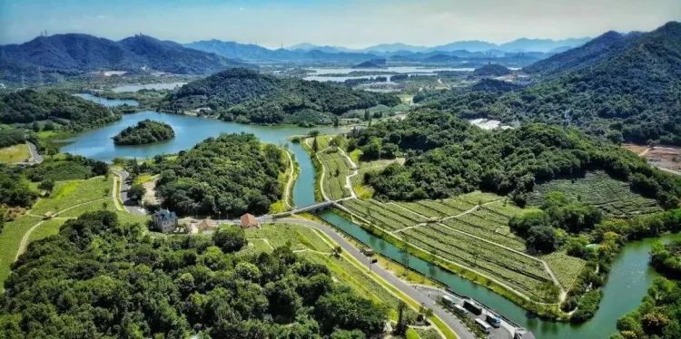 ba18eea5f1dd46a3b8a9beefe1773fd0-sz_185622-1 ba18eea5f1dd46a3b8a9beefe1773fd0-sz_185622-1