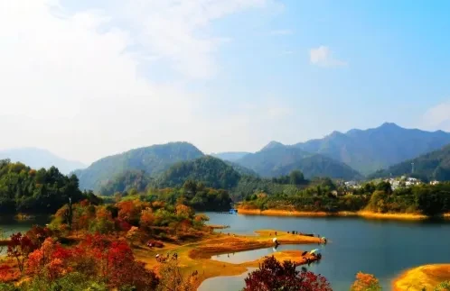 ba1c2f0405288f2b55d41dfa052d1163-sz_301177