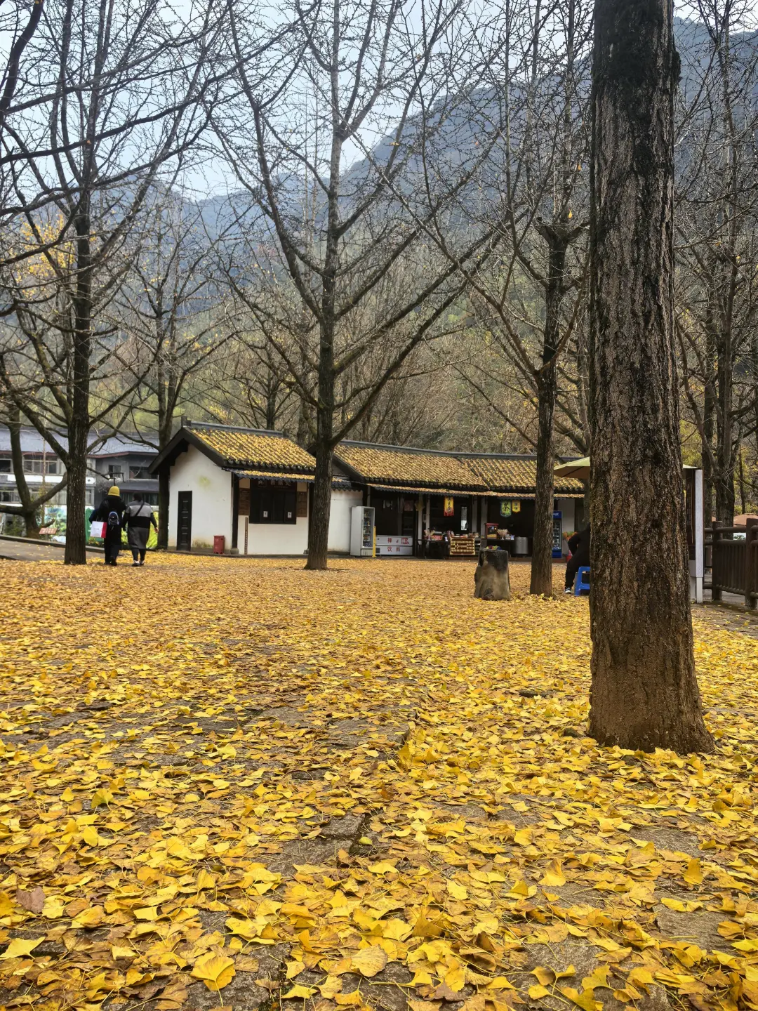 ba35cc64239396aa856e93ba5cec7321-sz_3477505