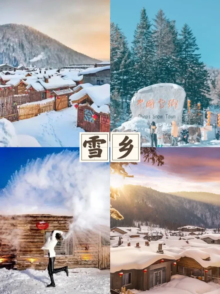 ba5d2025013459ea755cabe09cc90164-sz_2256017