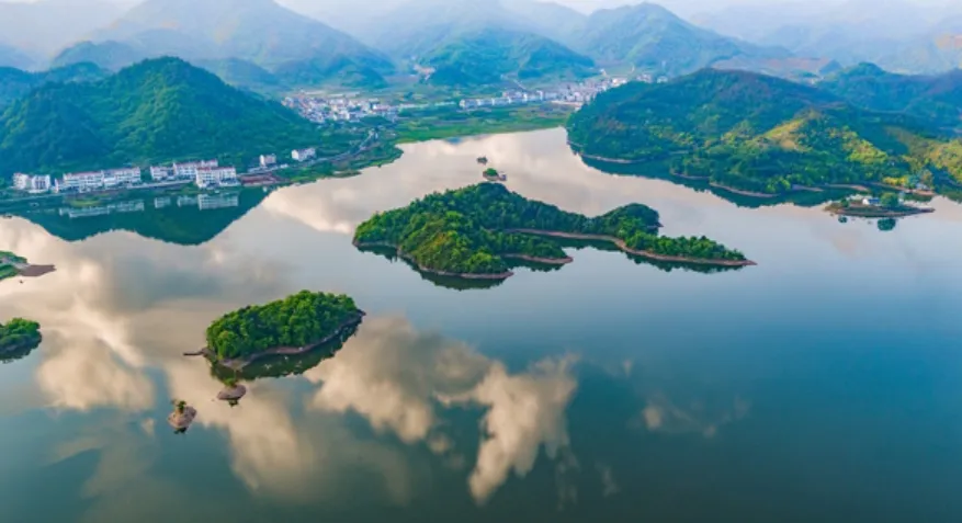 ba71445992e198a230071bd41570edc2-sz_255360