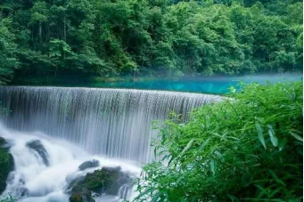 ba79ab01651d7dd469fa7f0e0722ed9c-sz_310433