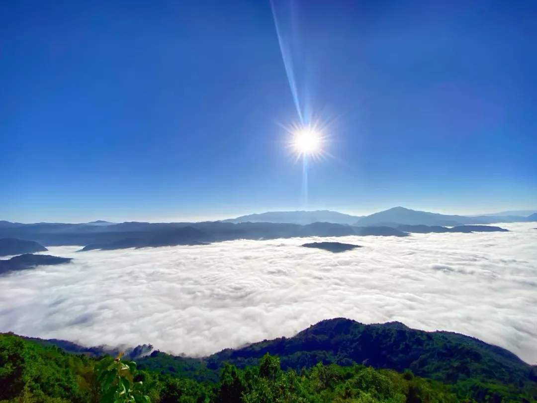 bac75675ce7e8fc4668e1bdbb8b7057c-sz_697231