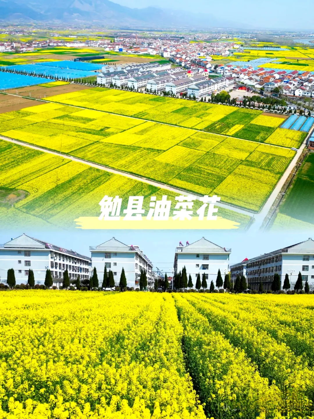 baee58e25b2791bcc47bbbf5cedfedb8-sz_1378576