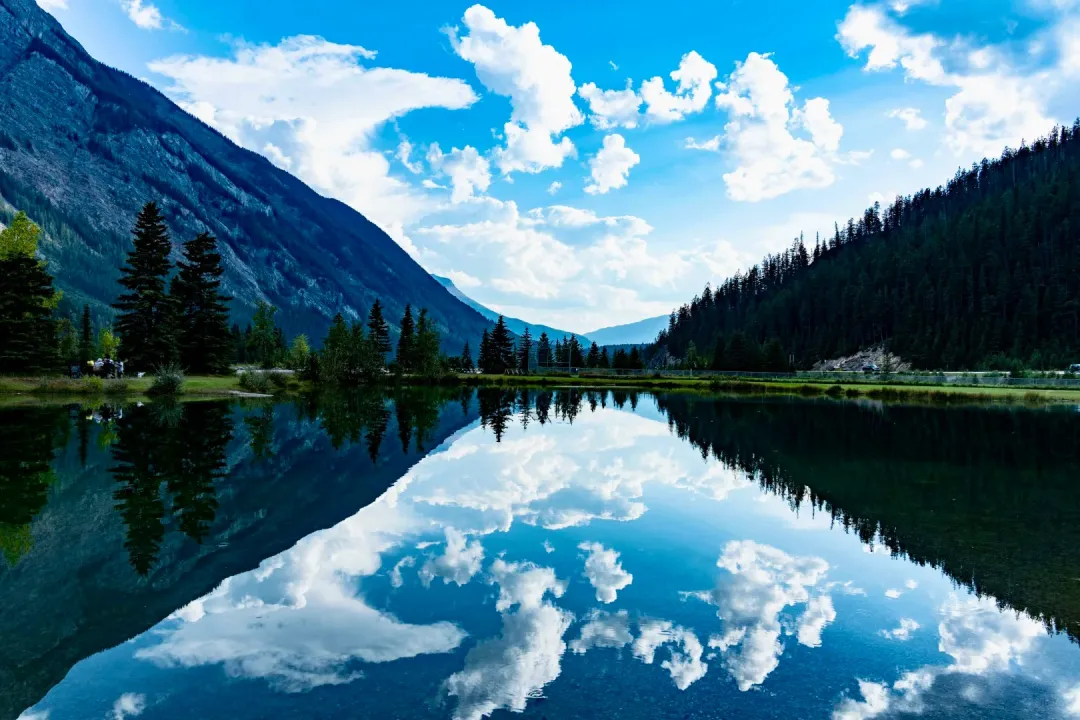 bb11403d77233f256994d98df6195945-sz_472740 bb11403d77233f256994d98df6195945-sz_472740