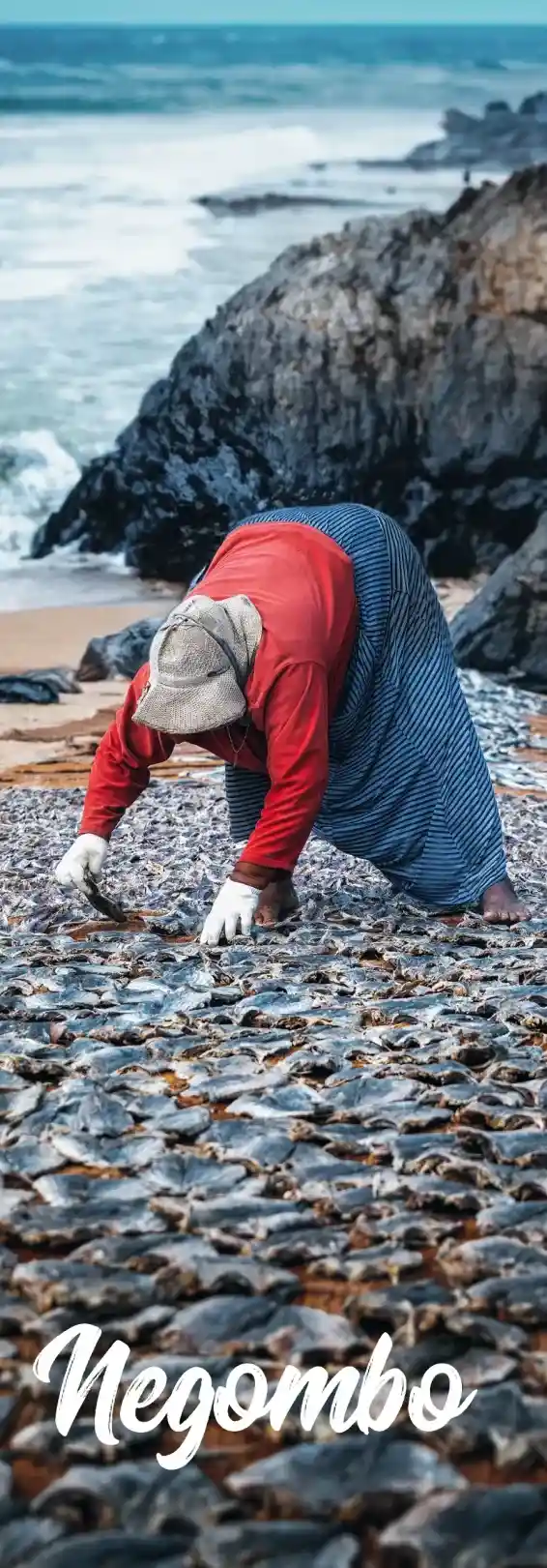 bb517f7f1ad7ceeb3c43728d8539bdaf