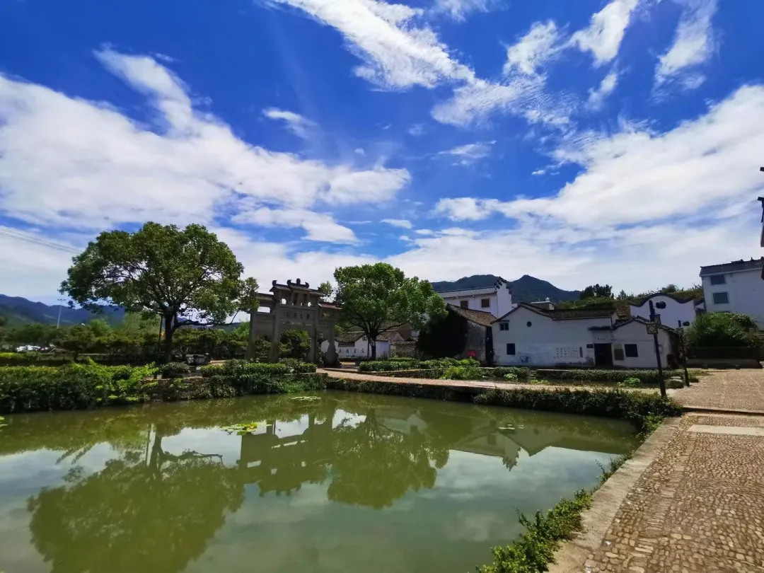 bb5b153932b79c62175b5564308e3a8a-sz_351064