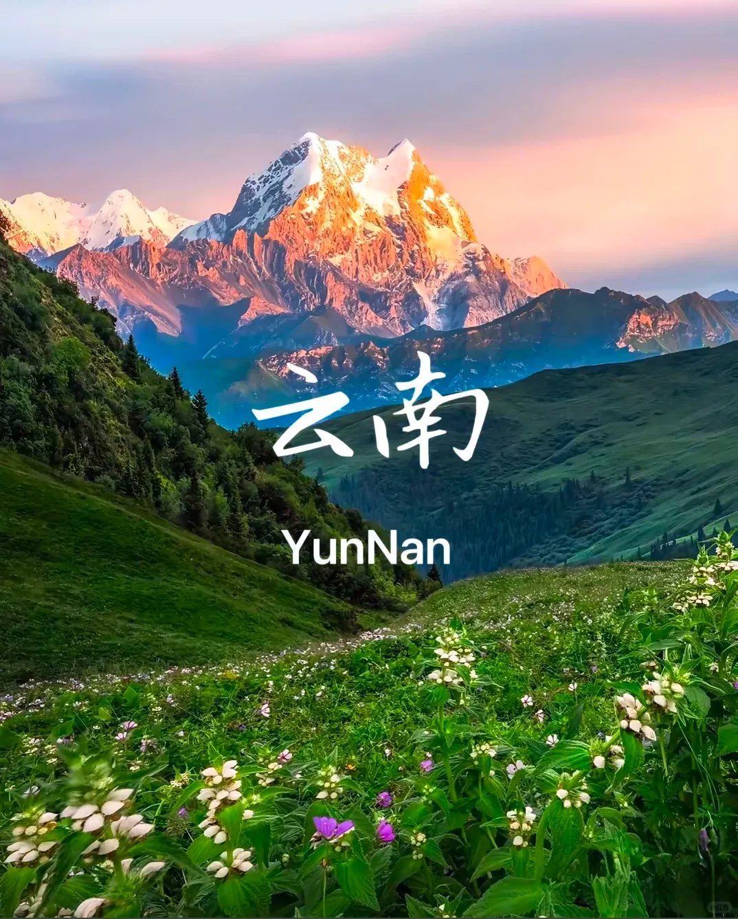 bb793509cc7eb45cf371699b3c90e397-sz_2583531