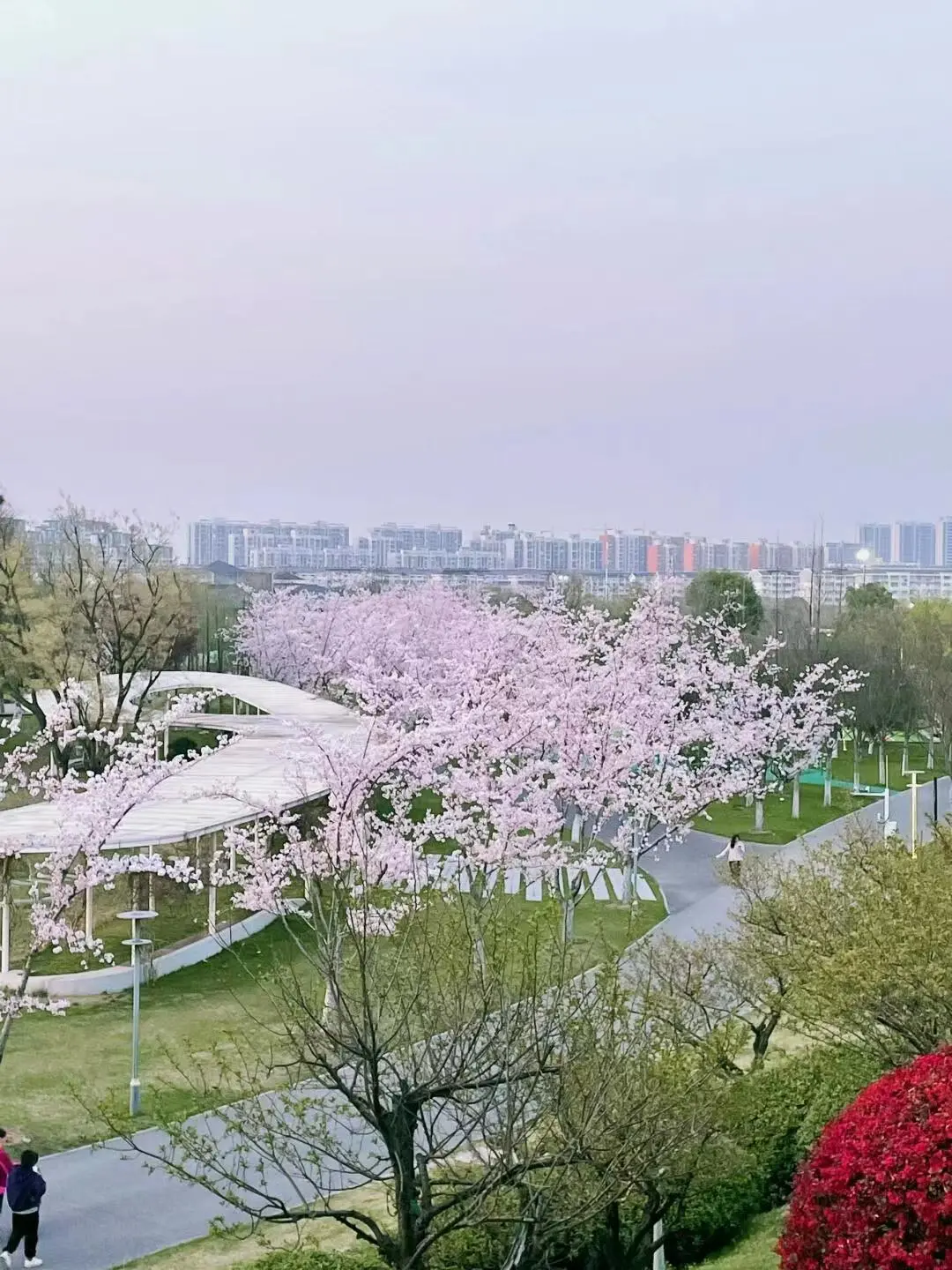 bb849c2e1f22acdc744594277cc78fb0-sz_243254