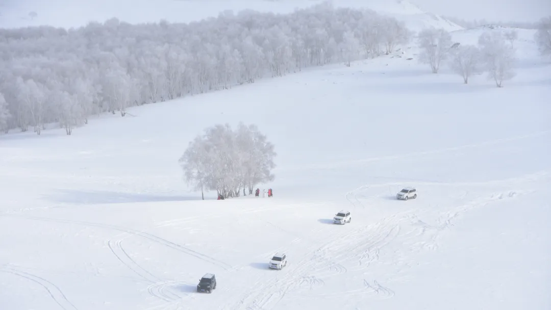 bbae61486c04d5216165de2f55604139-sz_12153506-1 bbae61486c04d5216165de2f55604139-sz_12153506-1