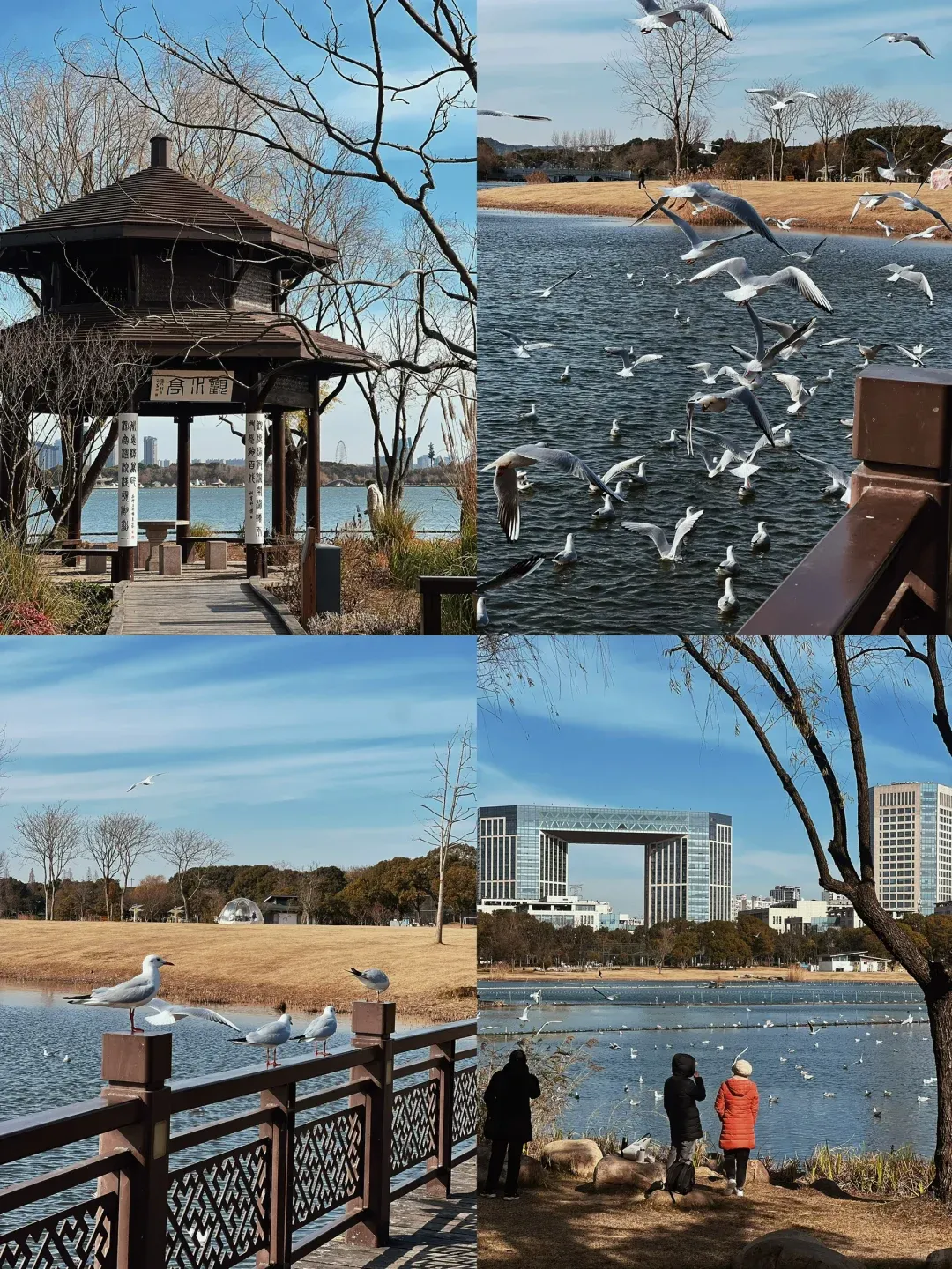 bbf6f559b94a095b14895df50c6e61bb-sz_3406268