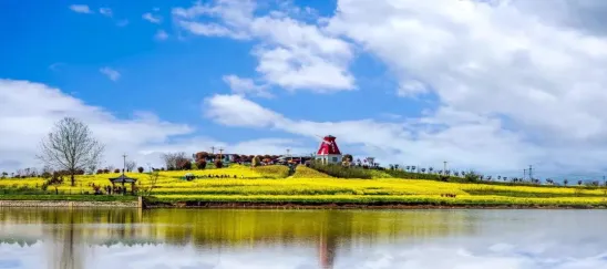 bc0019805af0890a6f0d9f1895764f31-sz_533848