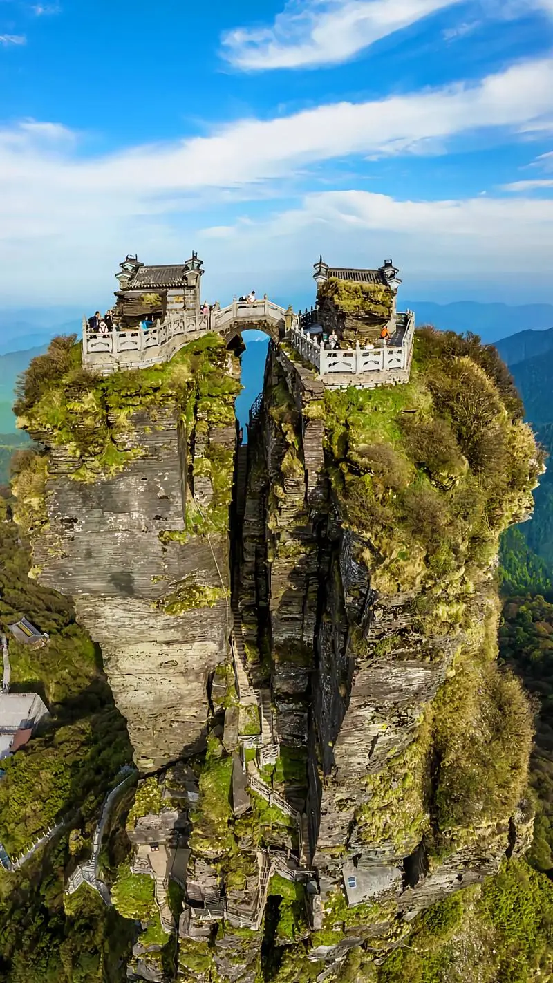 bc085c8af40127963415e49f909dd782-sz_254998