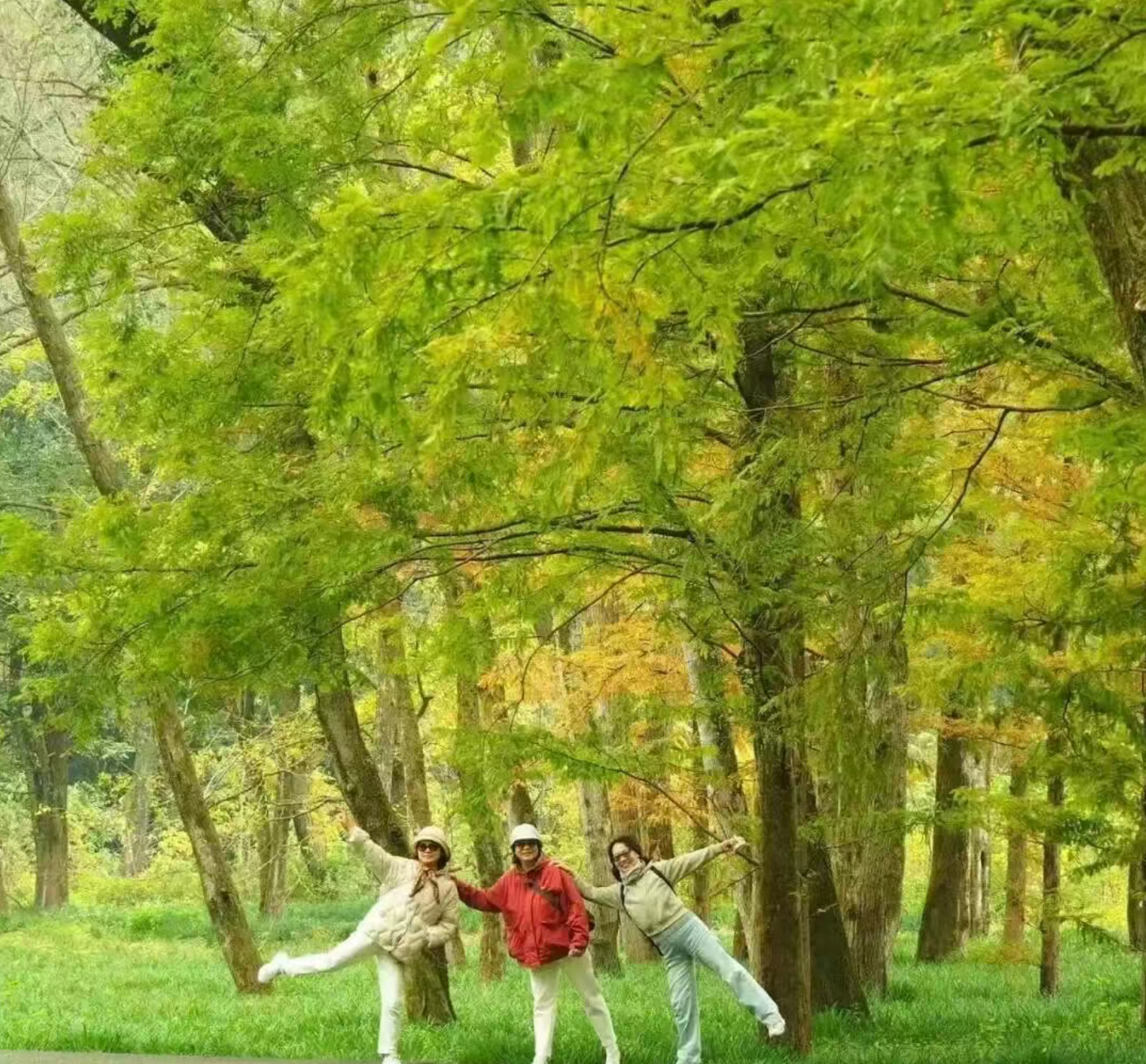 bc0e6ec75ecd7c9421f0a7f26ebb9e94