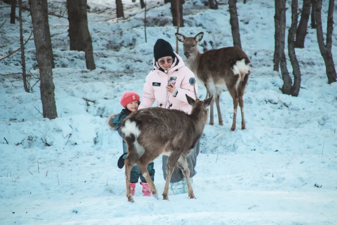 bc1a6a089020f7cc7f275fa6d3fdd00e-sz_5591537 bc1a6a089020f7cc7f275fa6d3fdd00e-sz_5591537