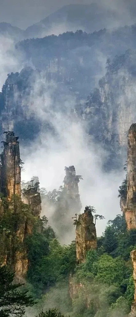 bc1e951e804fd4b7b8bb42cf5fdaf7ee-sz_125662