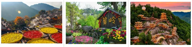 bc5a5b3756444384a4b28525b8440357-sz_243651