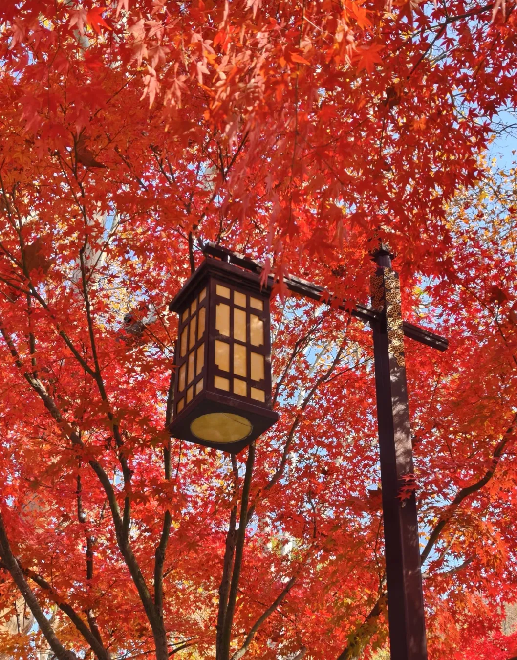 bca523c45eaec419e99b461f58c772c3-sz_2484852