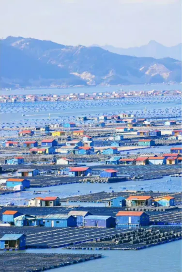 bcdb7e6c38782034bbe353e750821292-sz_330721