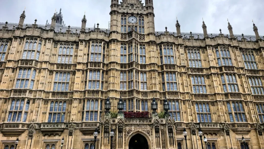 bcfeb40a6eebd0f507dc42bb5924abc8-sz_597012