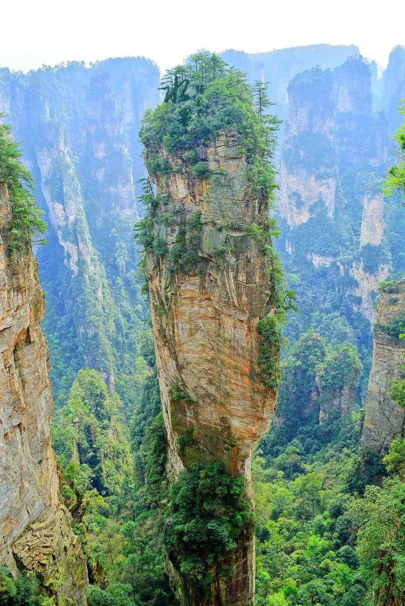 bd202ad045848100d17ffeb911341da7-sz_319980