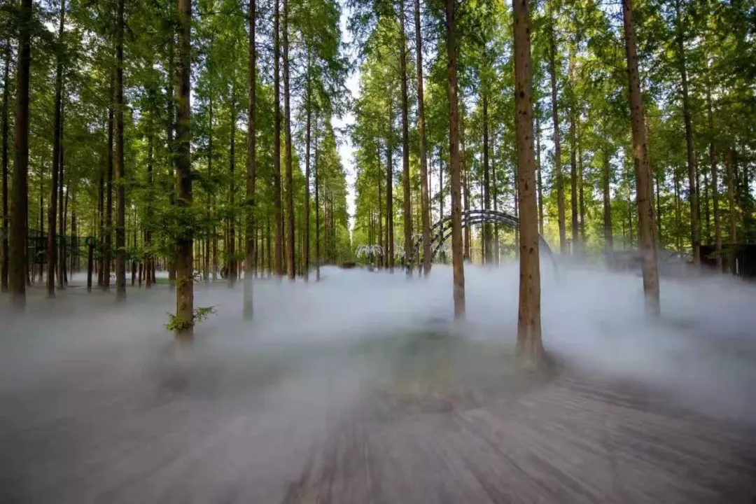 bd39012c31c9dffc8193d426520d8bd5-sz_1893640 bd39012c31c9dffc8193d426520d8bd5-sz_1893640