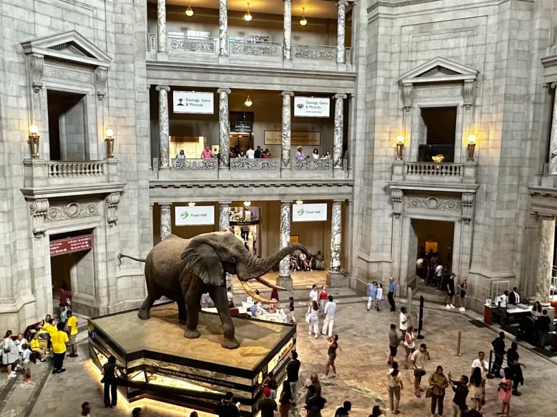 bd62ed69a387e6dc833a72865dbaebd0-sz_657932