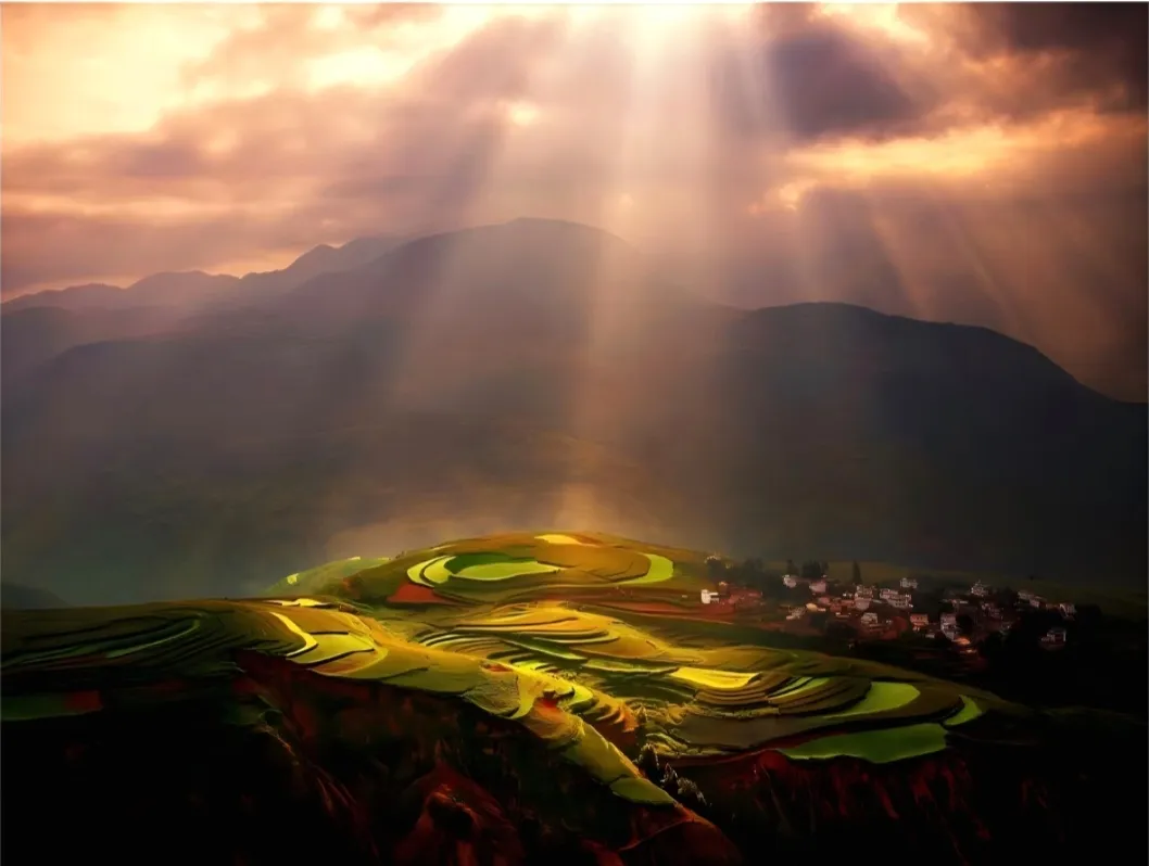 bd69d0bd1e6e782ed9a62773f450c2f6-sz_168160