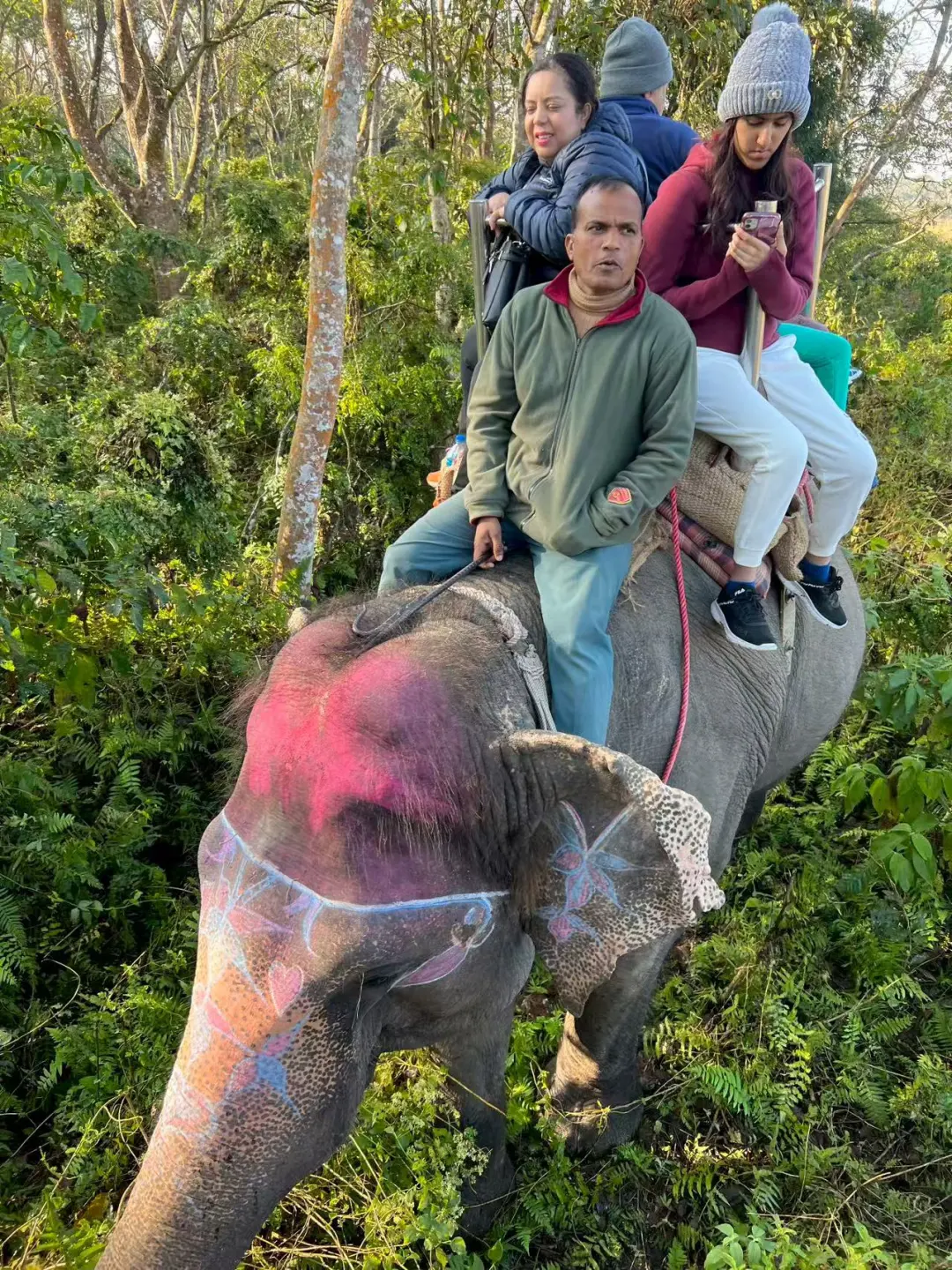 bd8eceb4a51e17f6e5c6d206239dd0d4-sz_623545