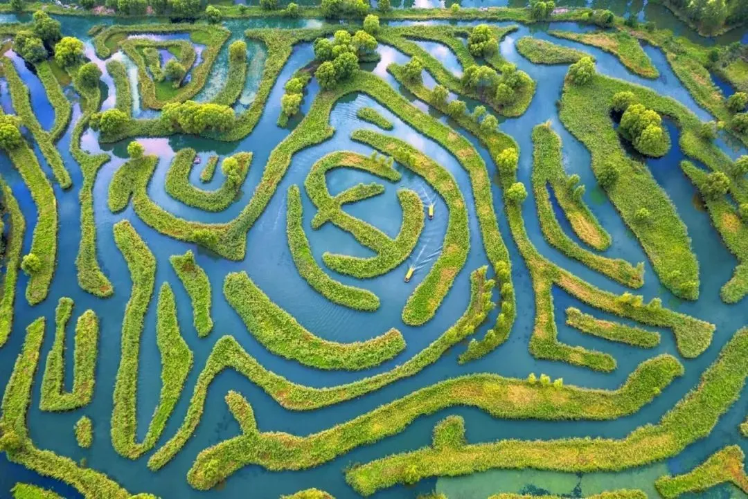 bdaff6c8ea26b3eda02881277894bb73-sz_200675