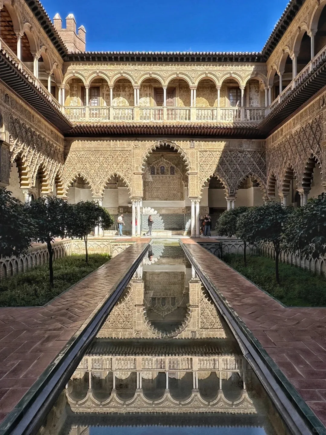 be187d1d2994cc3b1d22e6fc83aa53c6-sz_635558