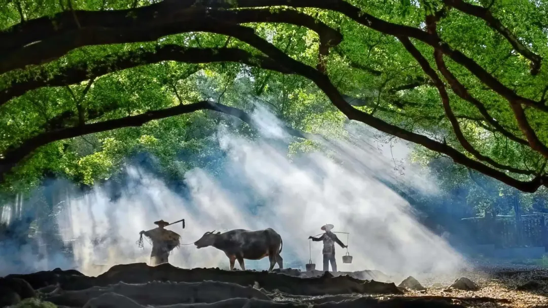 be9a7a68915a479be453165633face6f-sz_518928