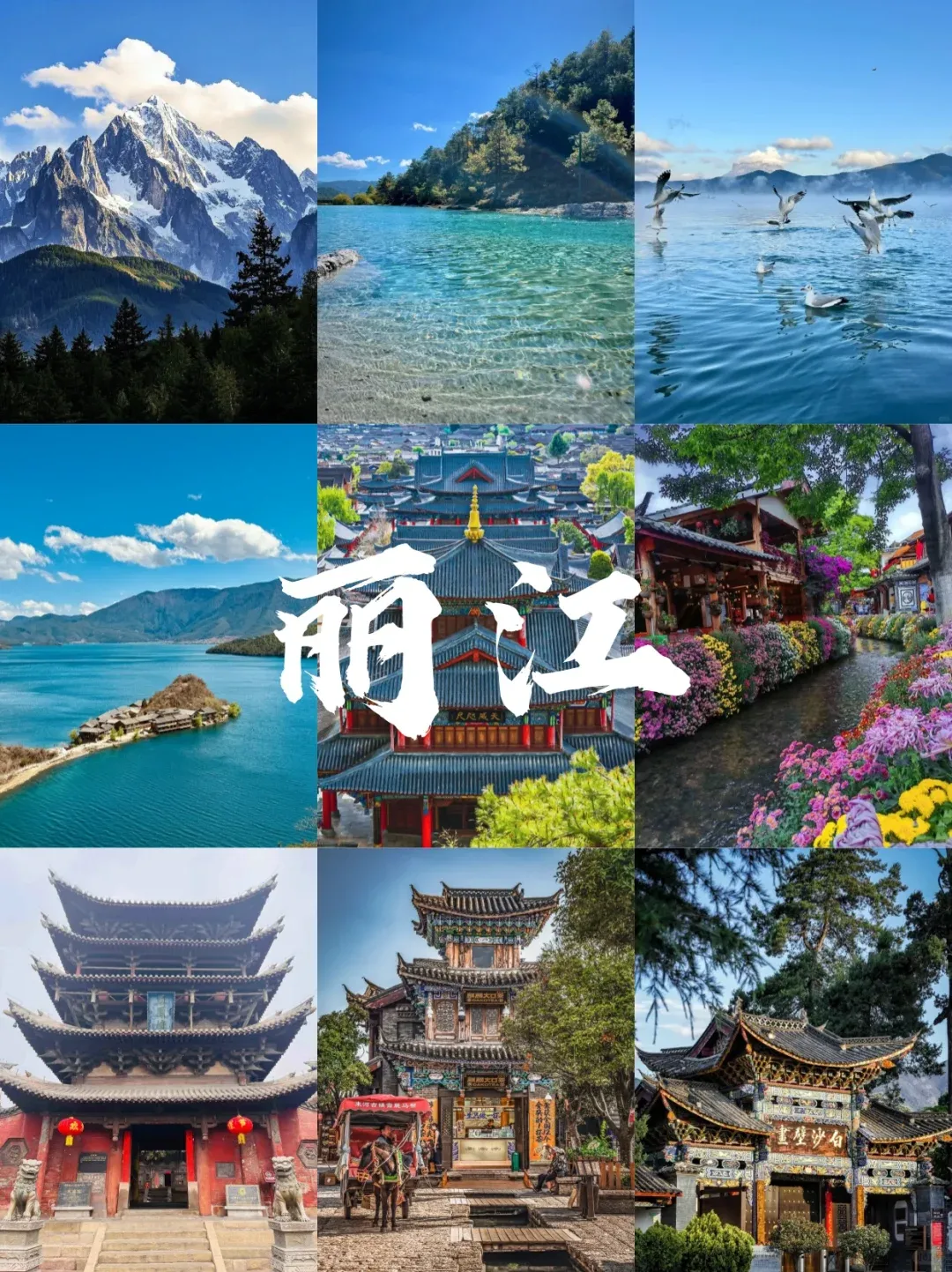 bea404188af13e1999223ca755b72db6-sz_2509746 bea404188af13e1999223ca755b72db6-sz_2509746