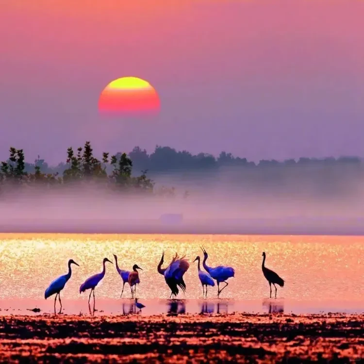 bea62421b3b0b300e2d0a291267f10de-sz_1456994