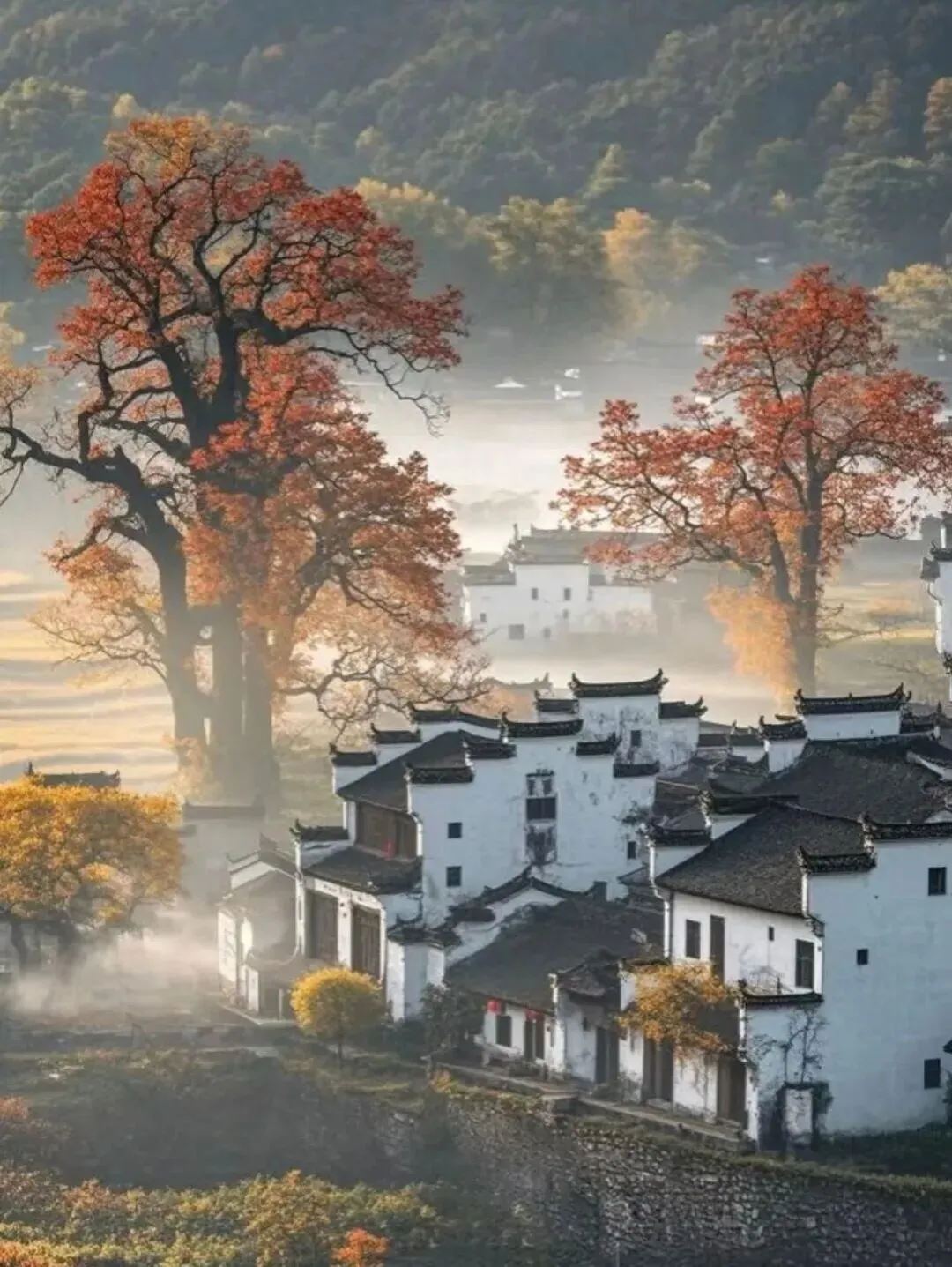 befd73ec99a13633a829c8b172af9b2f-sz_207465