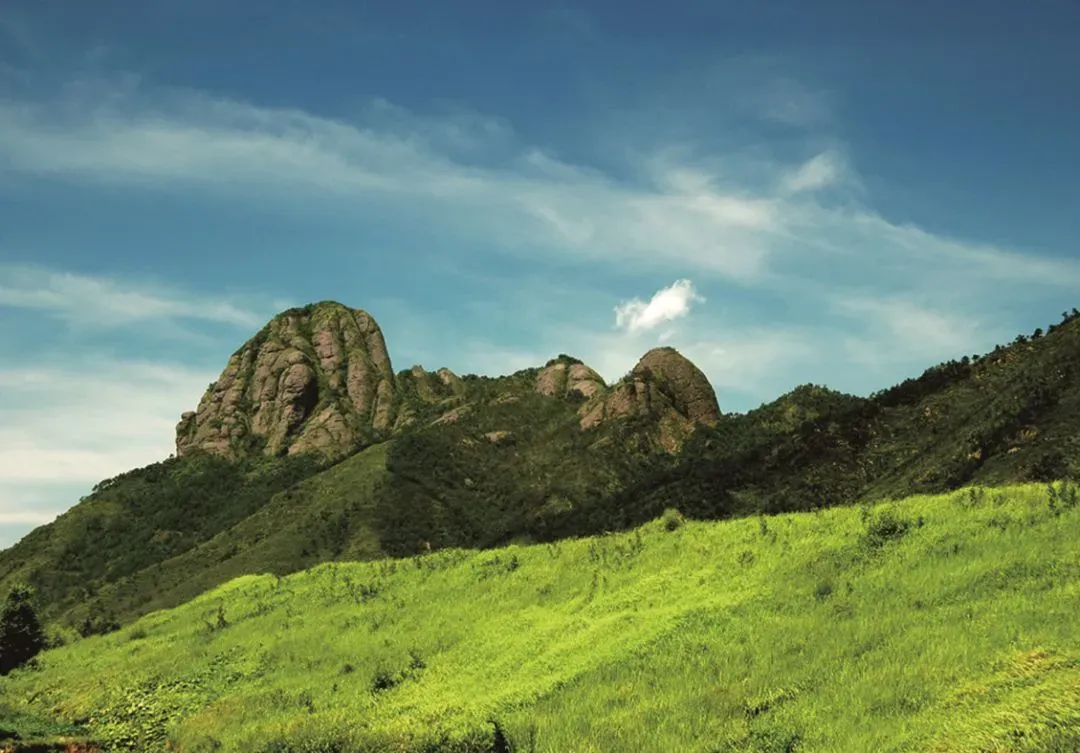 bf1dde647f31e6e771e2312db1a29ce8-sz_920941-1