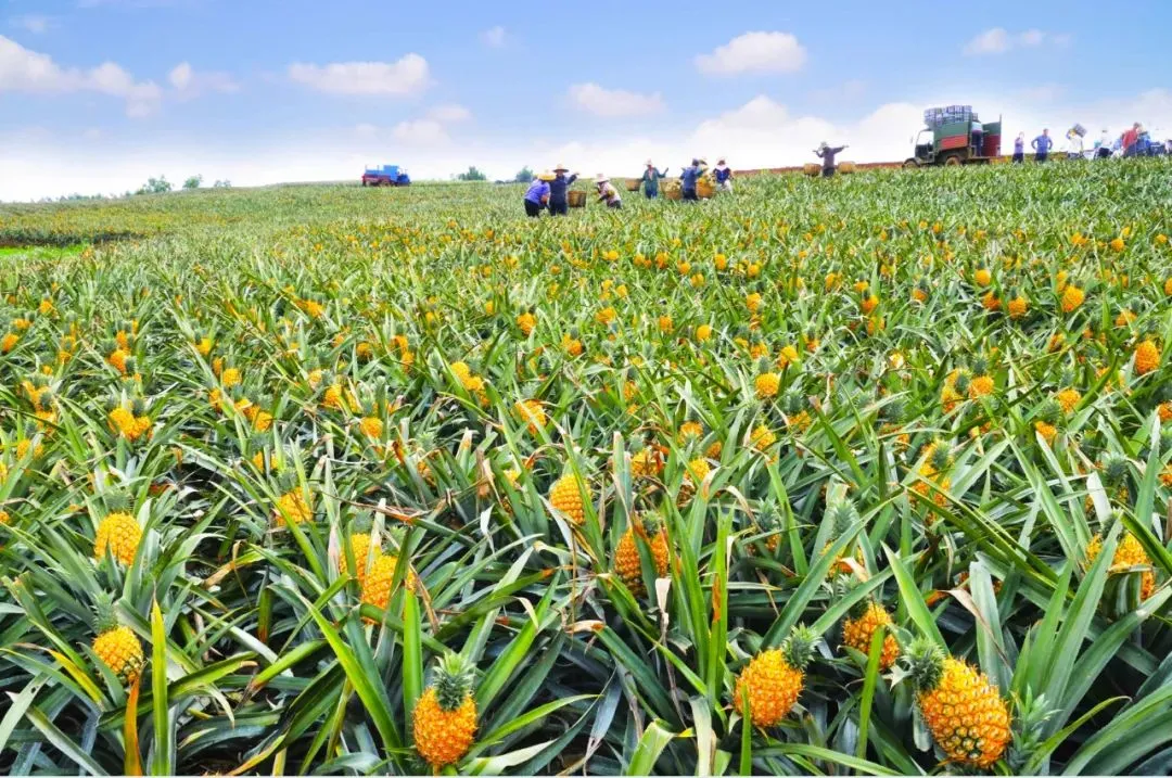 bf380635f293904bb7dc028cab7e1770-sz_221903 bf380635f293904bb7dc028cab7e1770-sz_221903