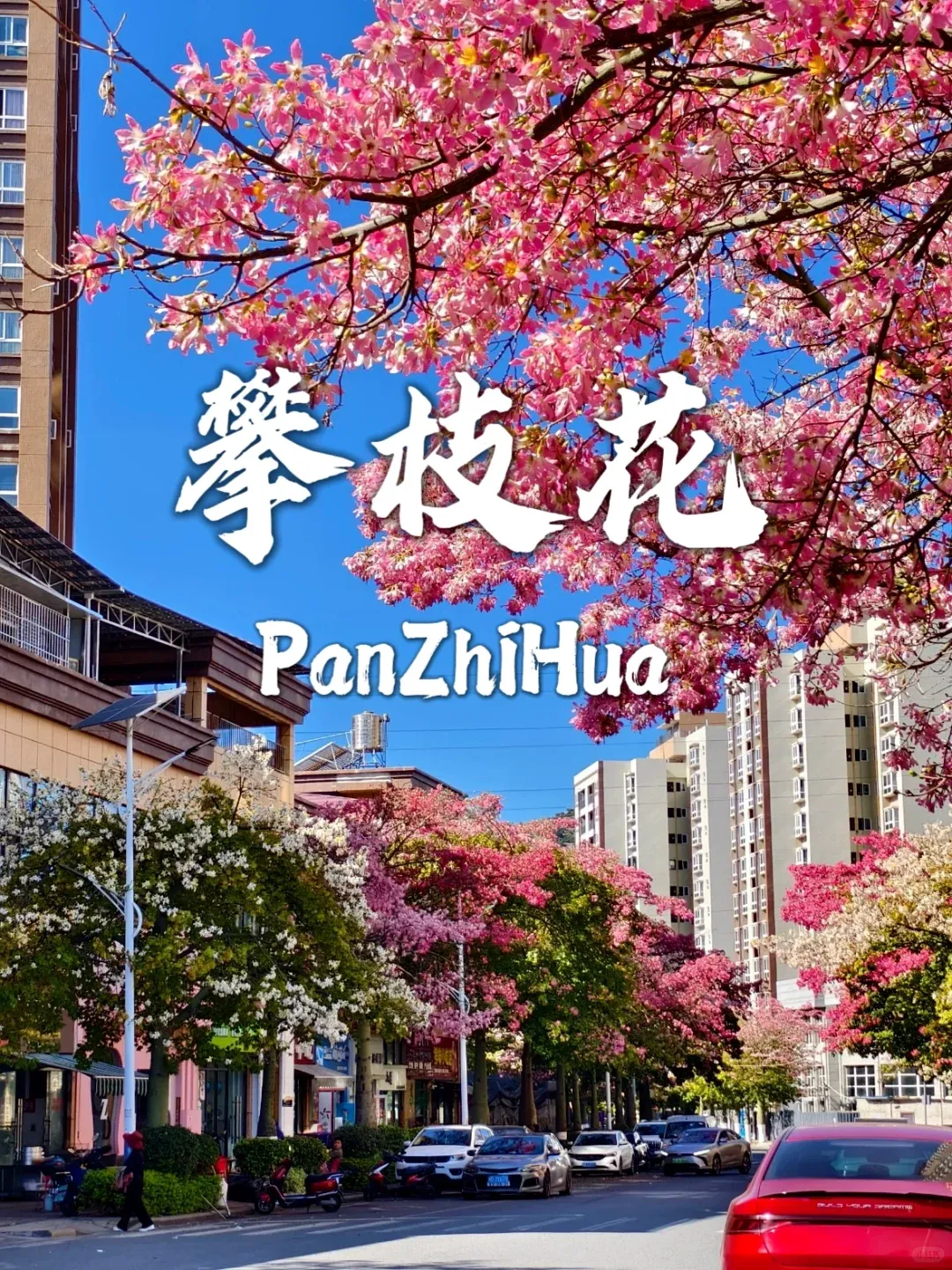 bf778490ae9c4ce3184bf7afef4b53aa-sz_3203403 bf778490ae9c4ce3184bf7afef4b53aa-sz_3203403