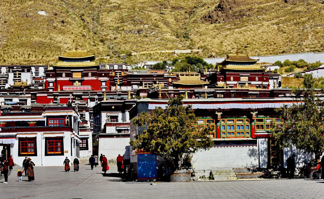 bfa27a80bb48e2534bb9f18e88cd5d67-sz_3714637 bfa27a80bb48e2534bb9f18e88cd5d67-sz_3714637