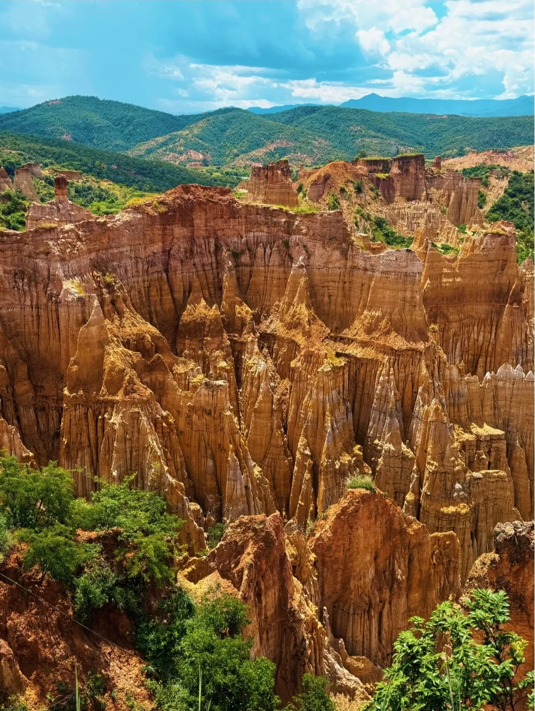 c018ed2805bf2b8e6256bb31cb4c59f2-sz_882407