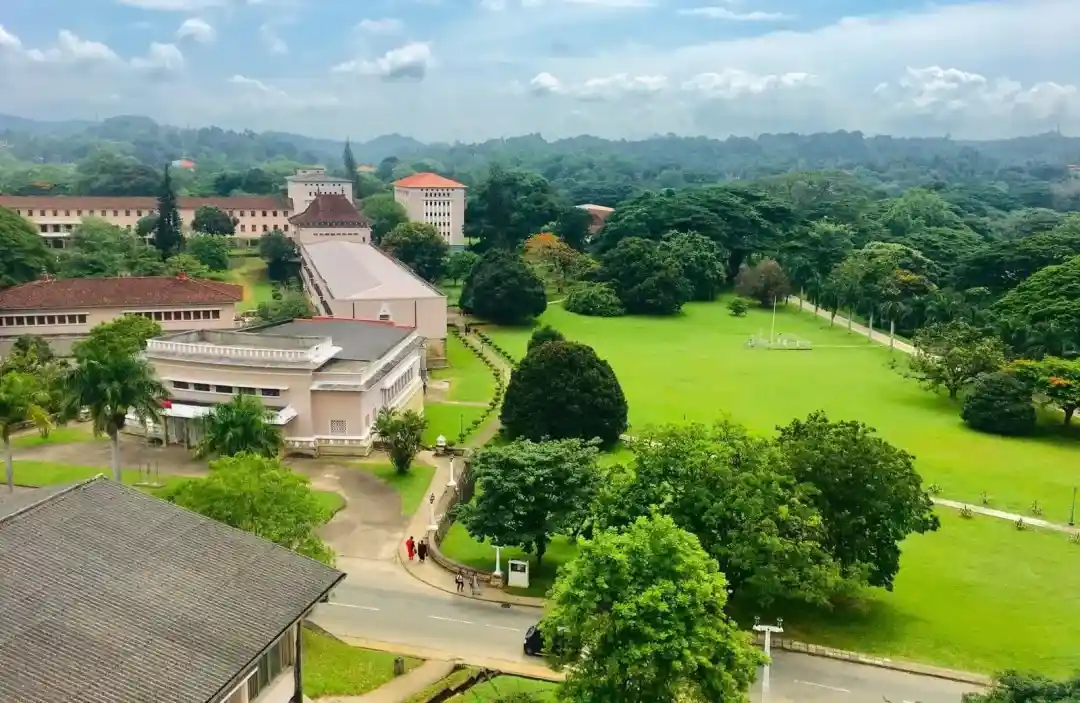 c026a8a6db9b3a4236e64812b2753296