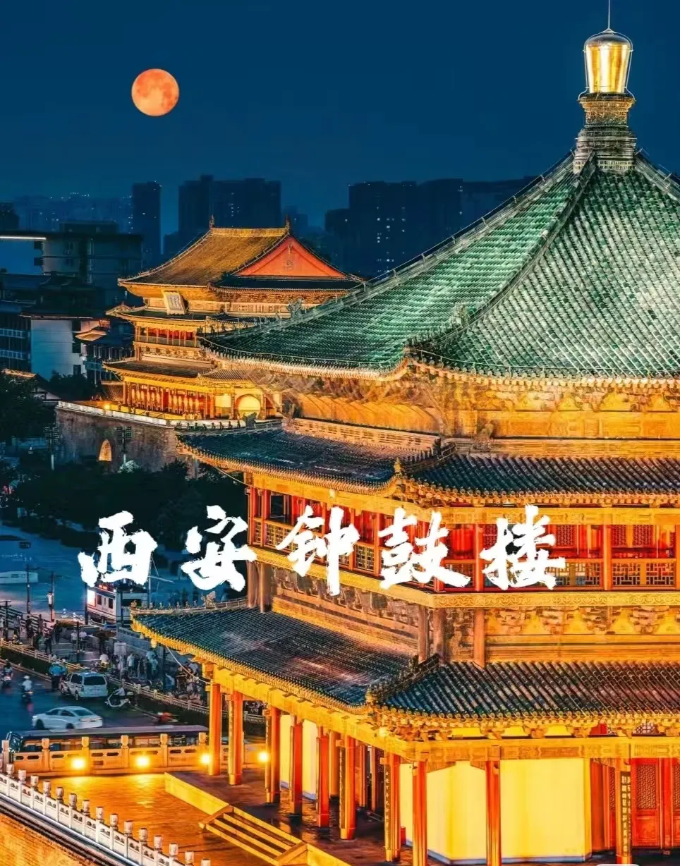 c05617bfb7ffb2482cfecb2608f20977-sz_889168