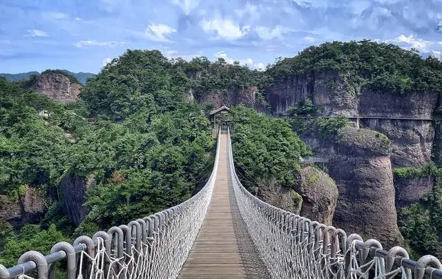 c0a2ee3c6a99ad0ff26278c4e8968f95-sz_65996-2